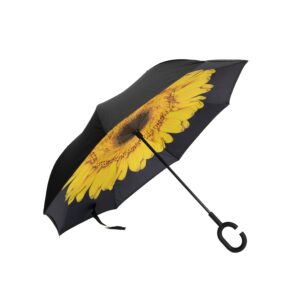 Obratni dežnik sončnica